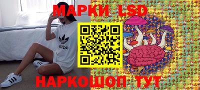 эйфоретик Донской