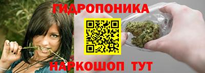 эйфоретик Донской