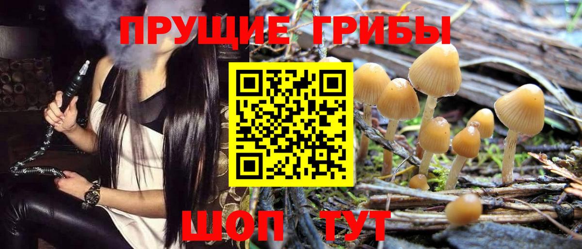 Псилоцибиновые грибы Magic Shrooms  Вход с VPN  Мыски 